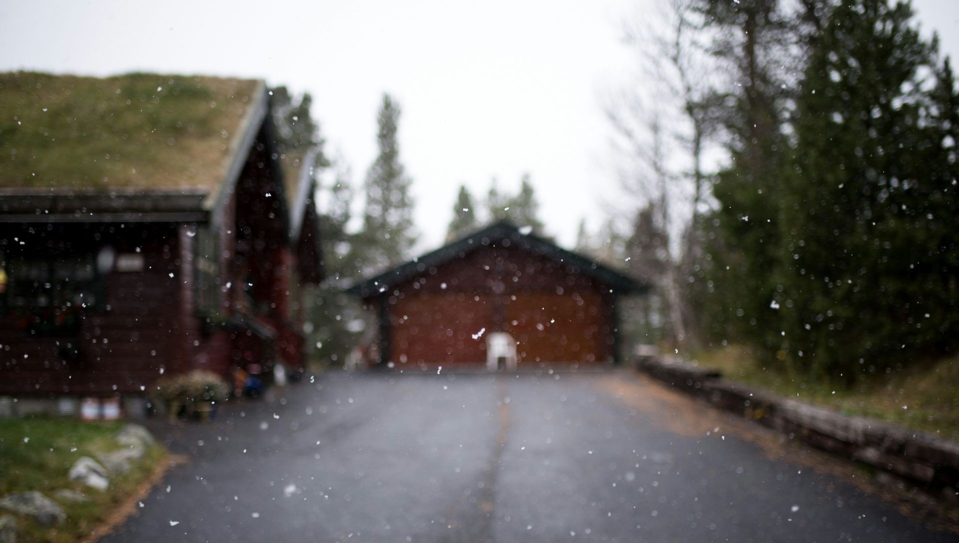 A house with a green roof is sitting on the side of a road in the snow.