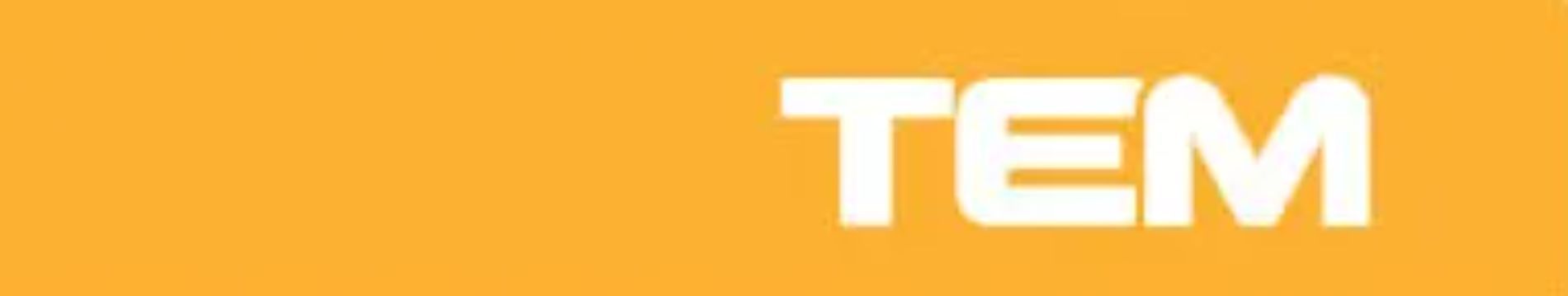 Logo TEM