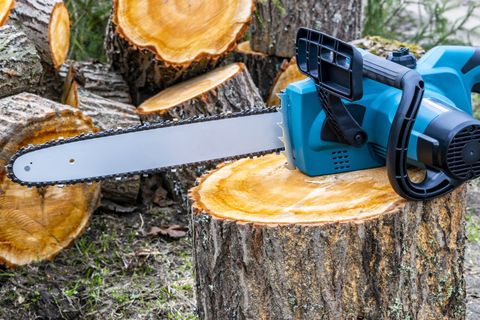 Cutting Trees Using an Electrical Chainsaw — Flint, MI — TLC Tree & Stump Removal LLC