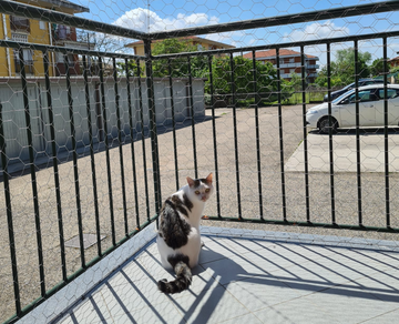 Reti Sicurezza Balconi per Gatti e Bimbi