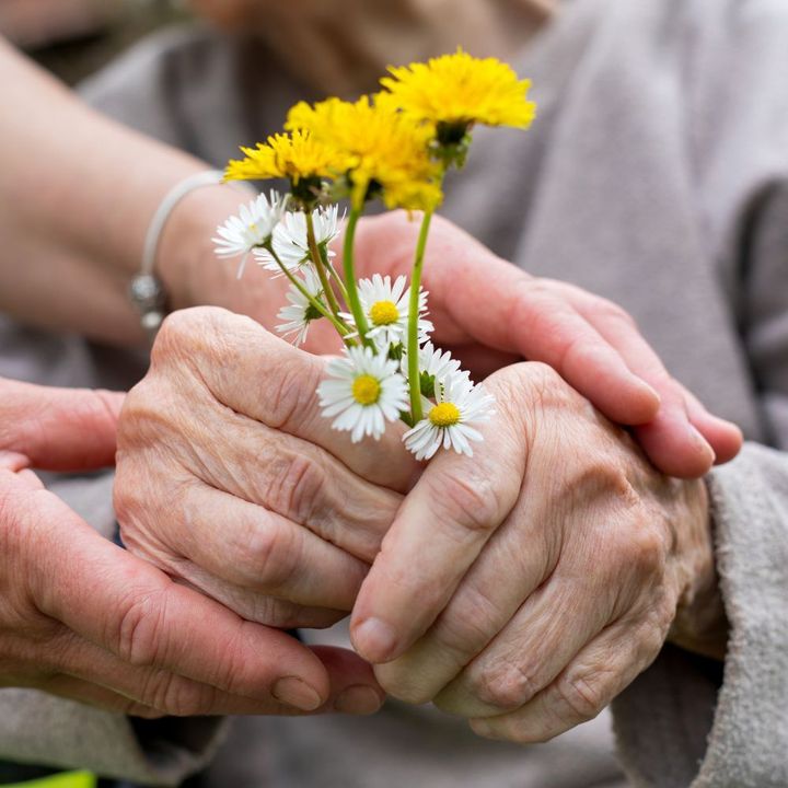 A person is holding a bunch of daisies in their hands