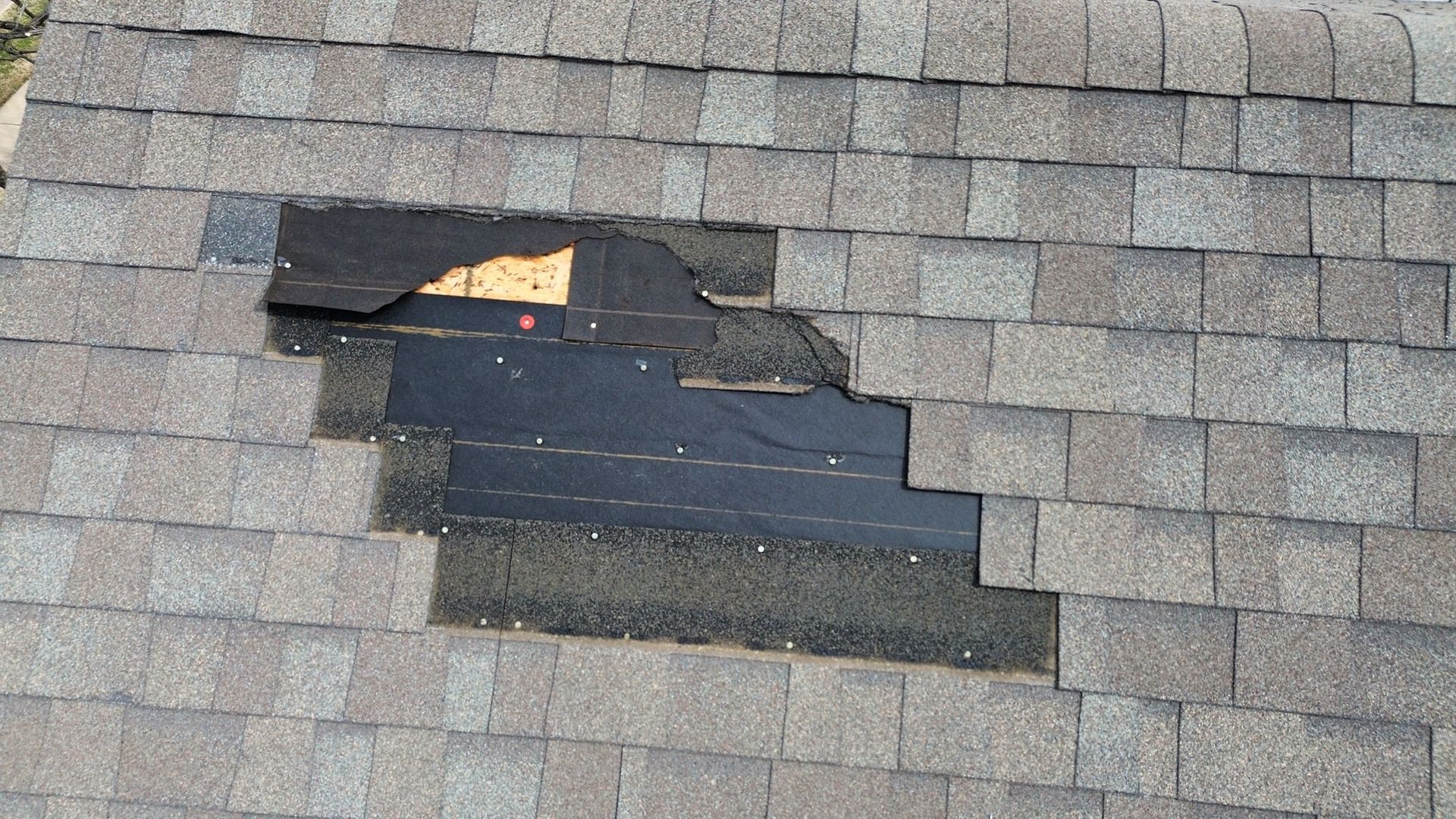 Damaged asphalt shingle roof with a large section missing, revealing underlayment and wood sheathing.