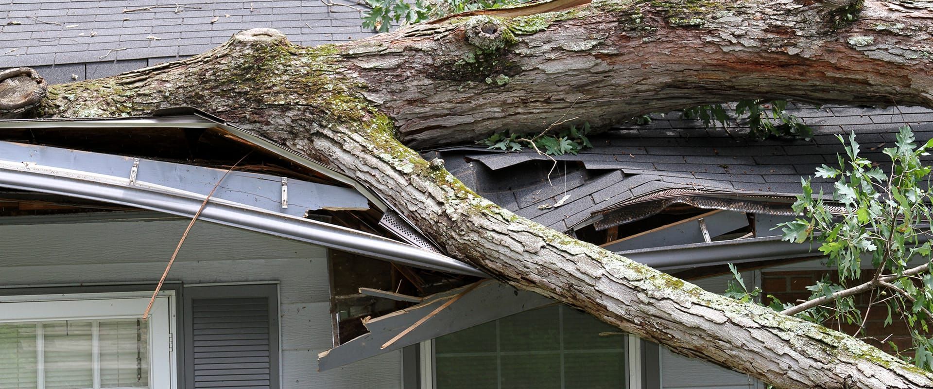 A large tree trunk on a roof, causing damage. The roof is partially collapsed.