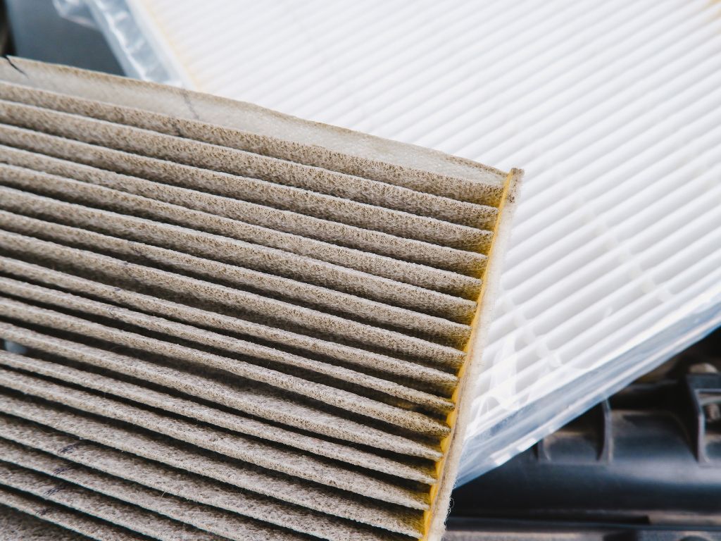 A close up of a dirty air filter on a car hood.