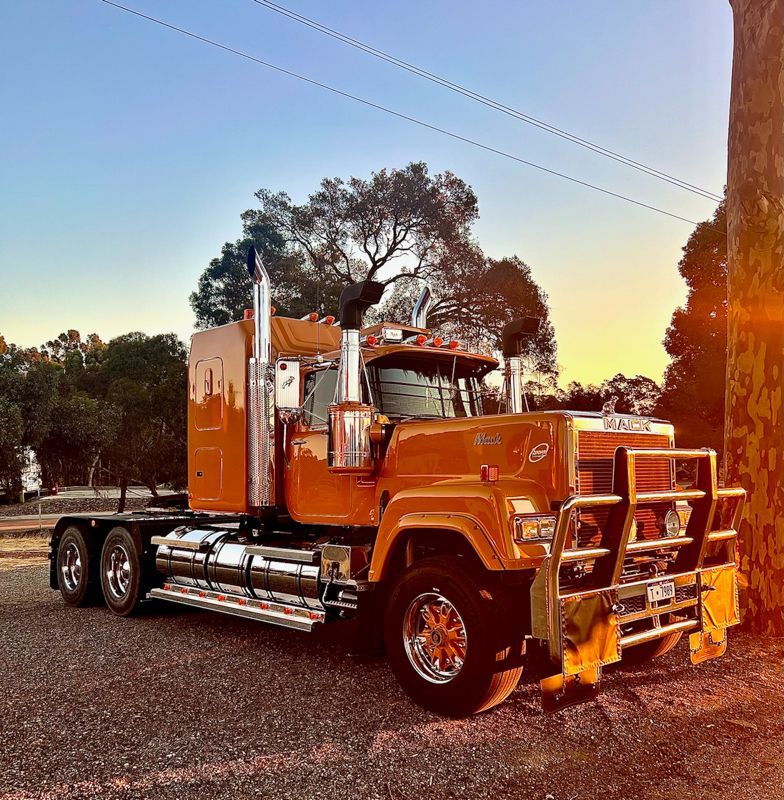 Mack (Vintage) (1989)