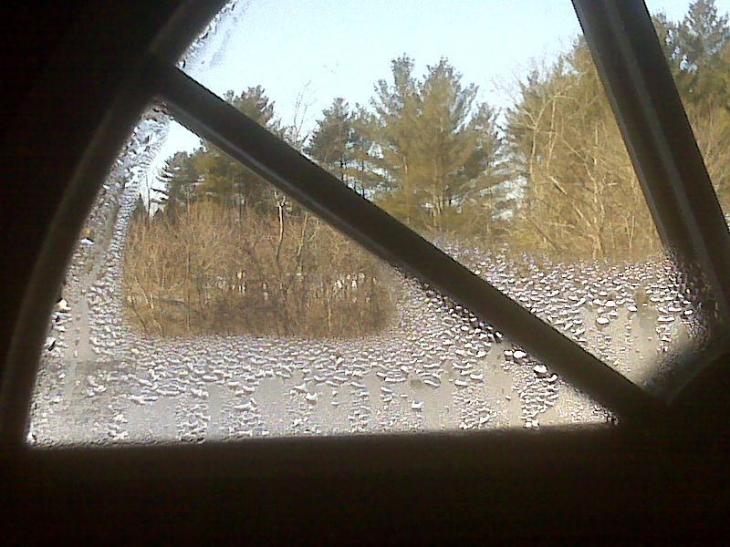 A window with water drops on it looking out to a forest