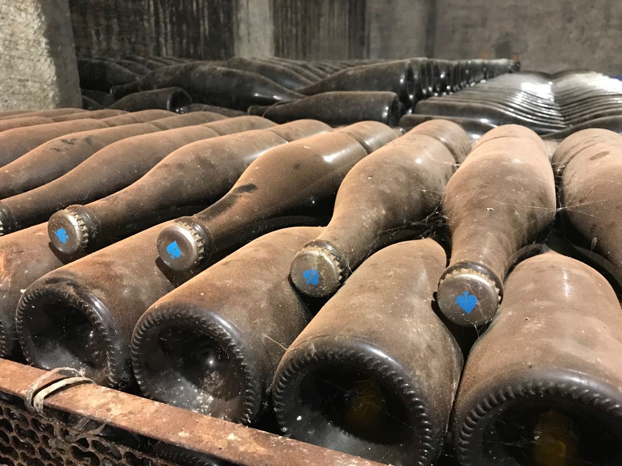 dusty sparkling wine bottles