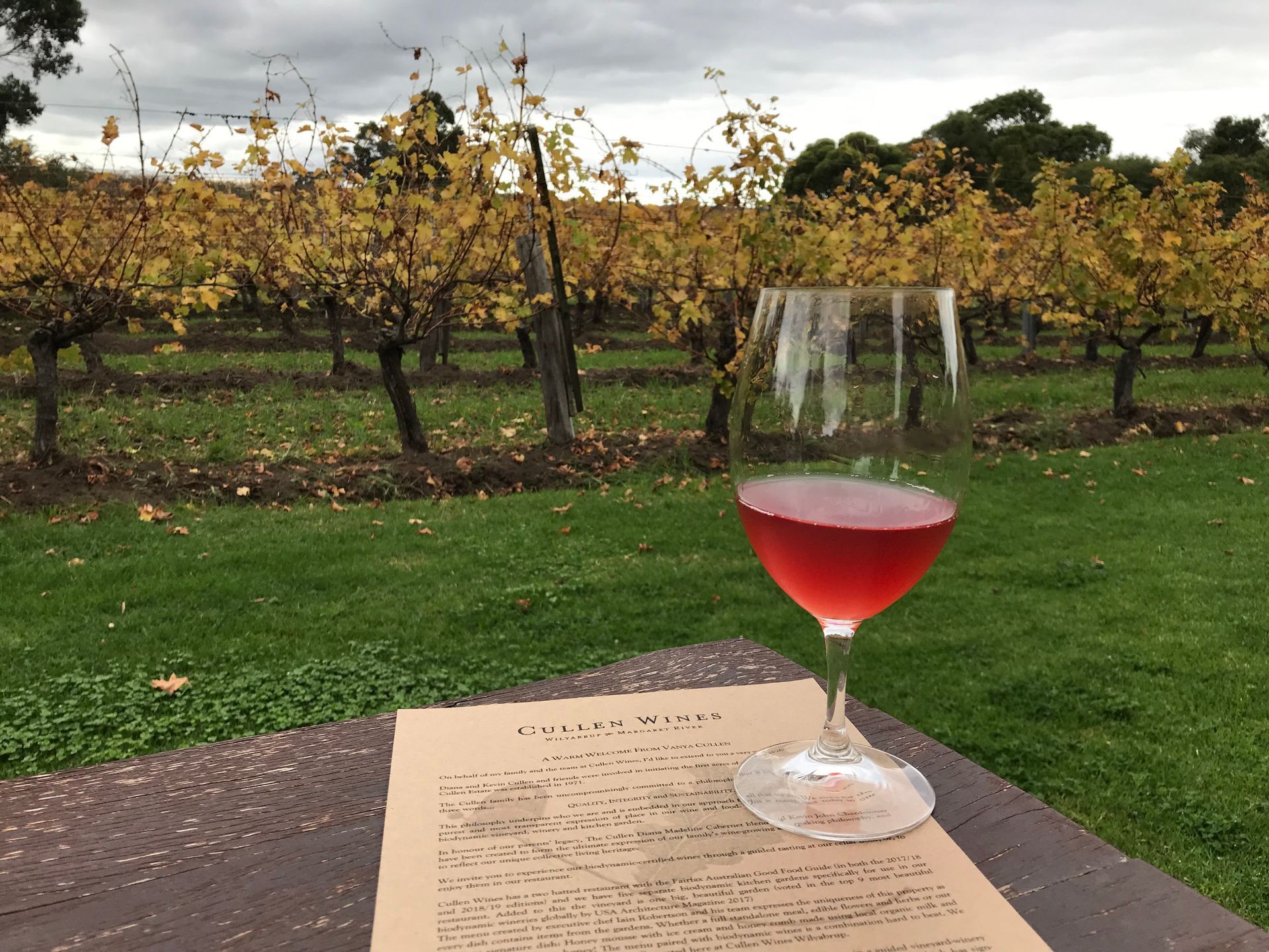 pet nat with vineyard