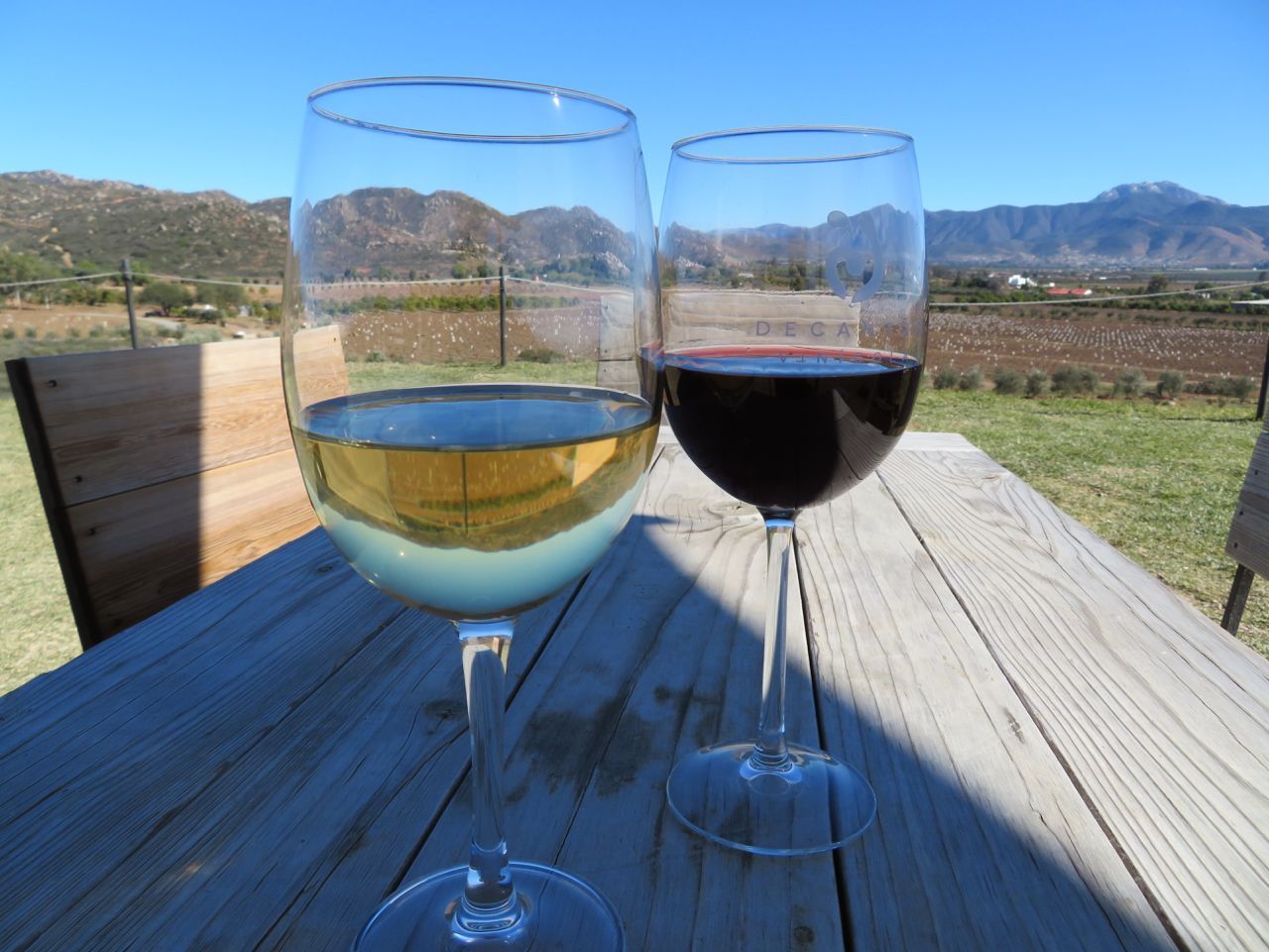 wine glass tasting Mexico