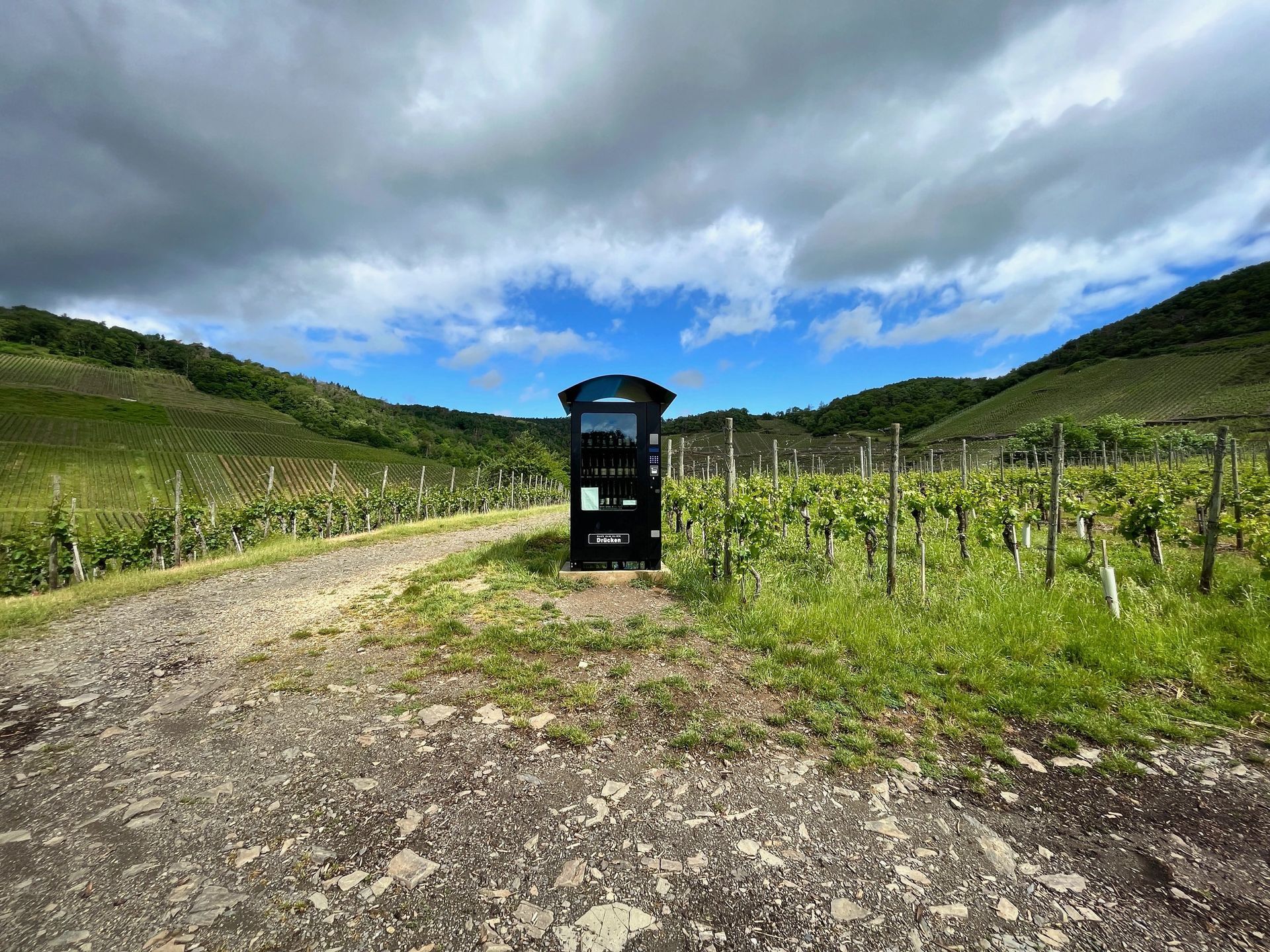 wine vending machine in vineyard