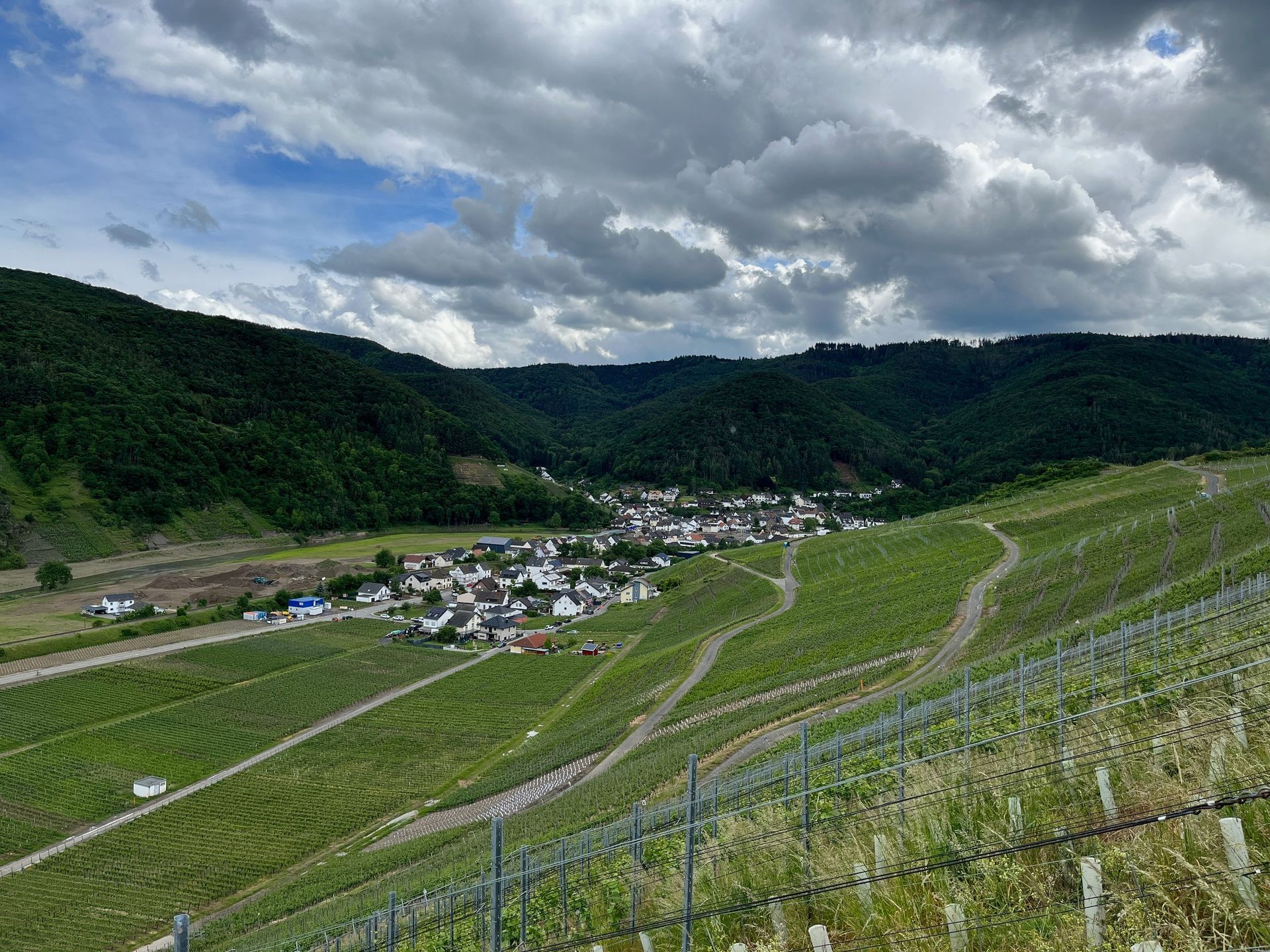 Ahr Valley vineyards Germany