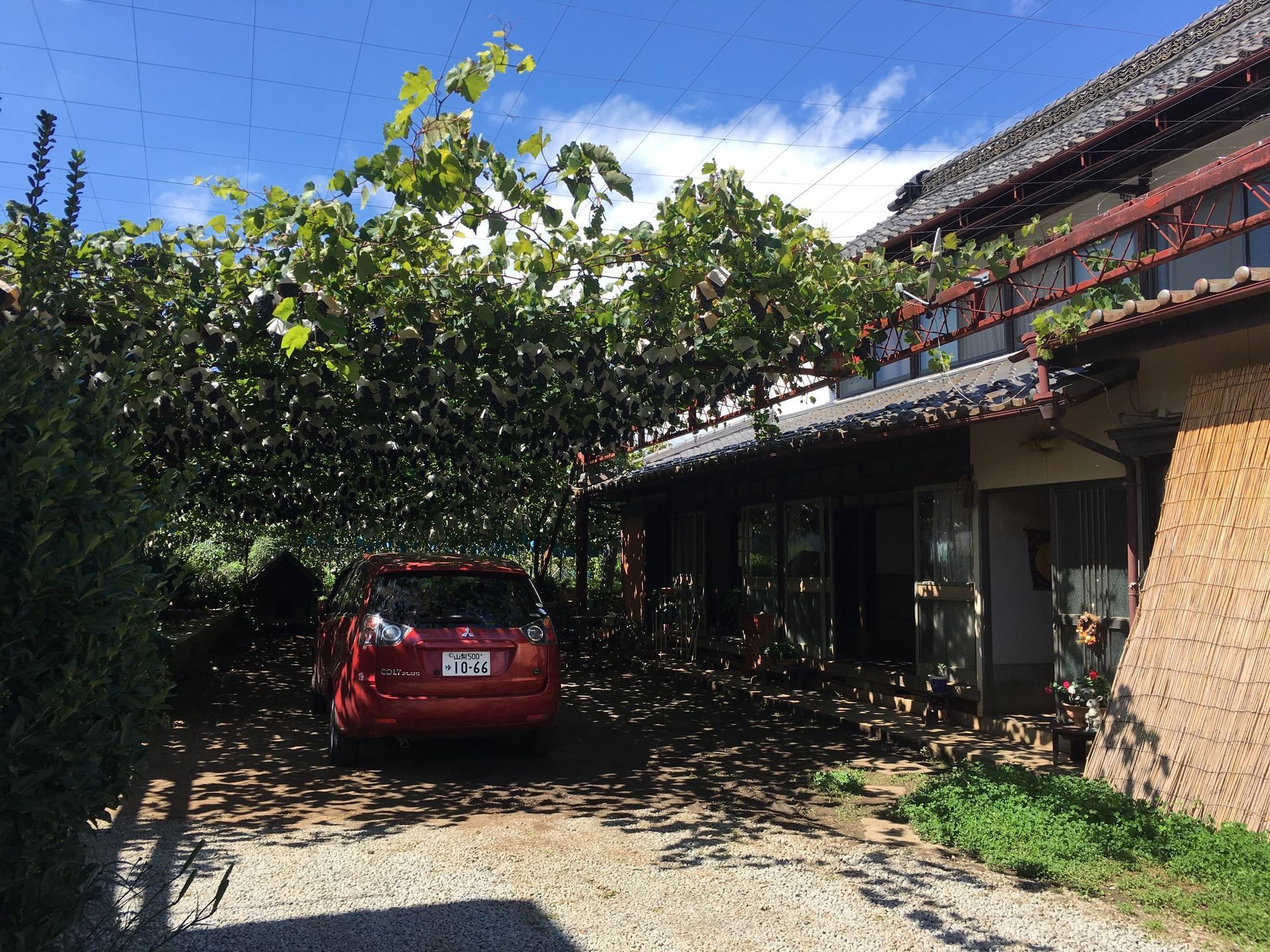 home with grape vines Japan