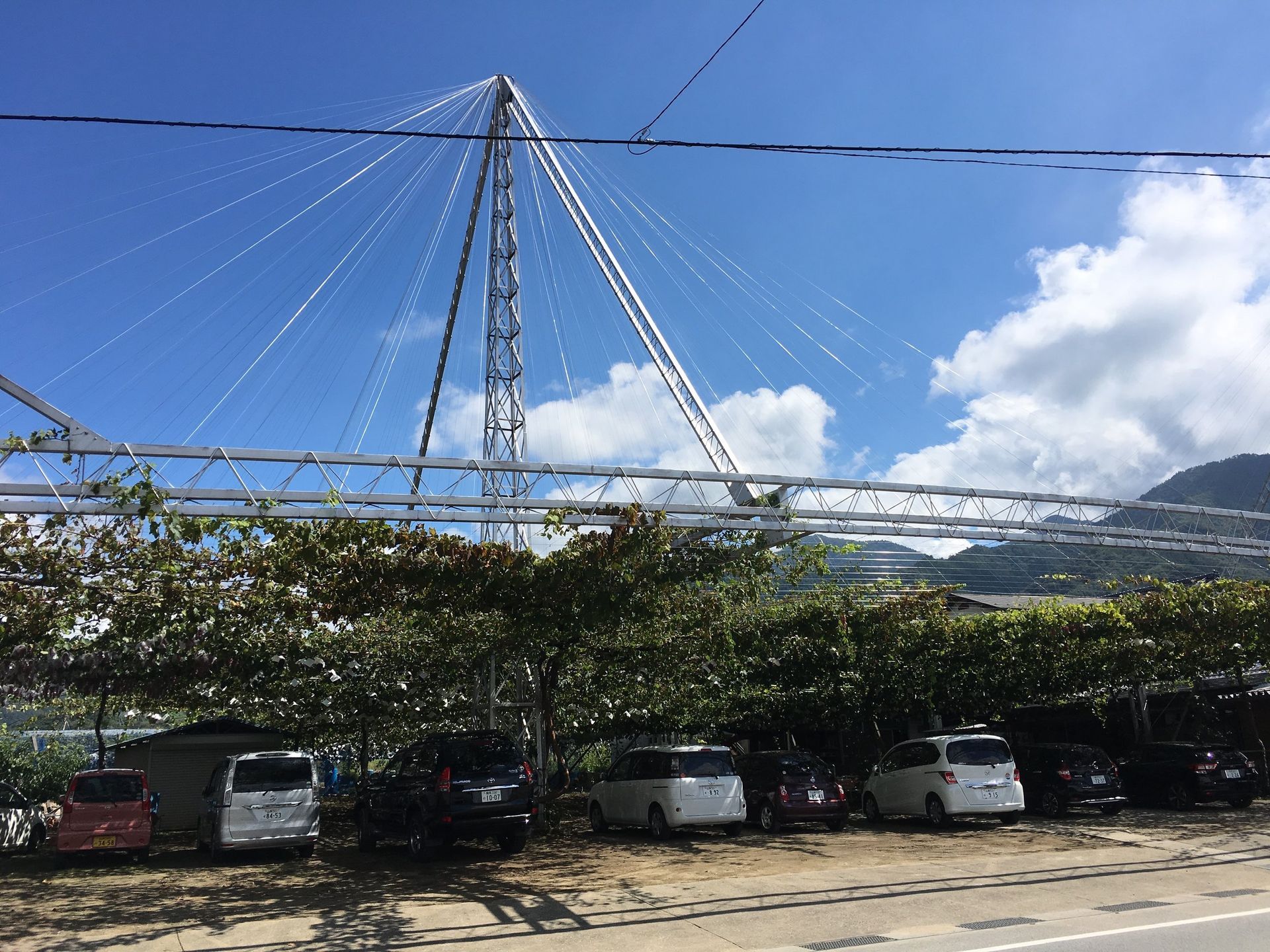 Japan vineyard infrastructure