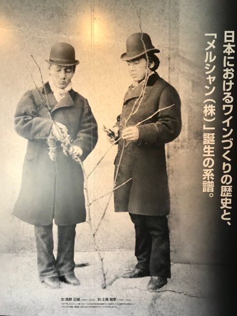 Japanese wine pioneers