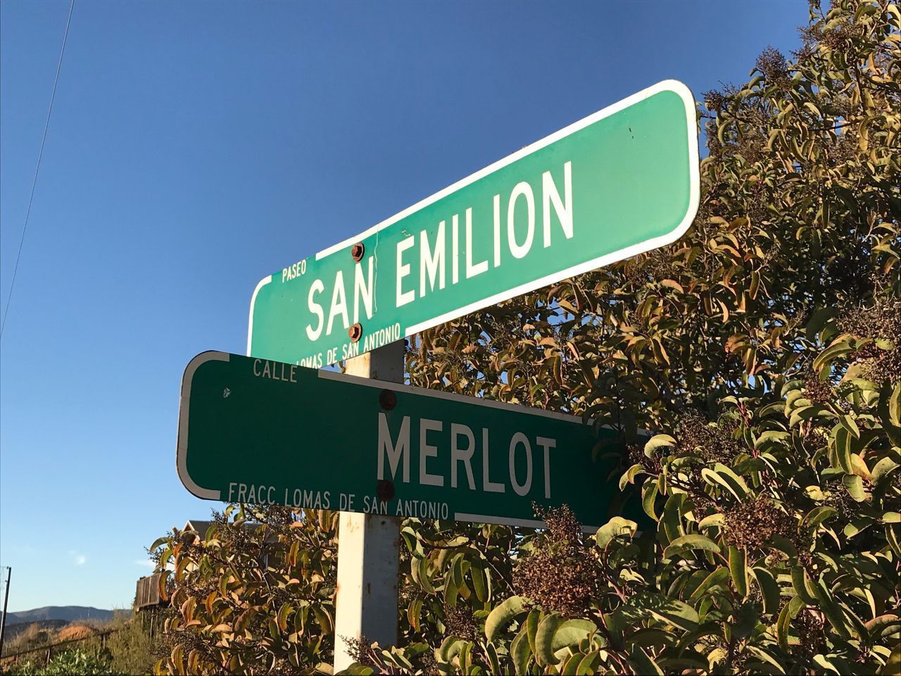 streets named for wines