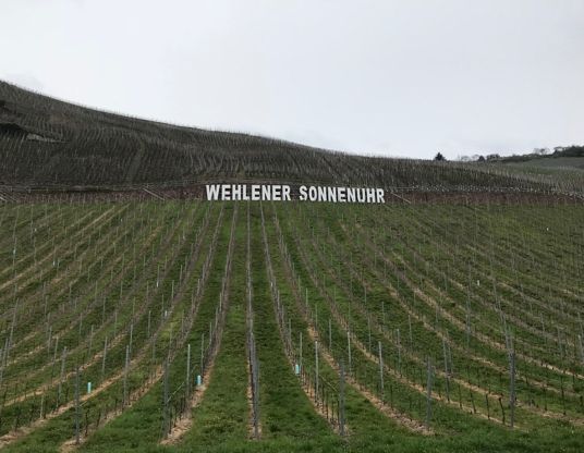 vineyard sign Germany