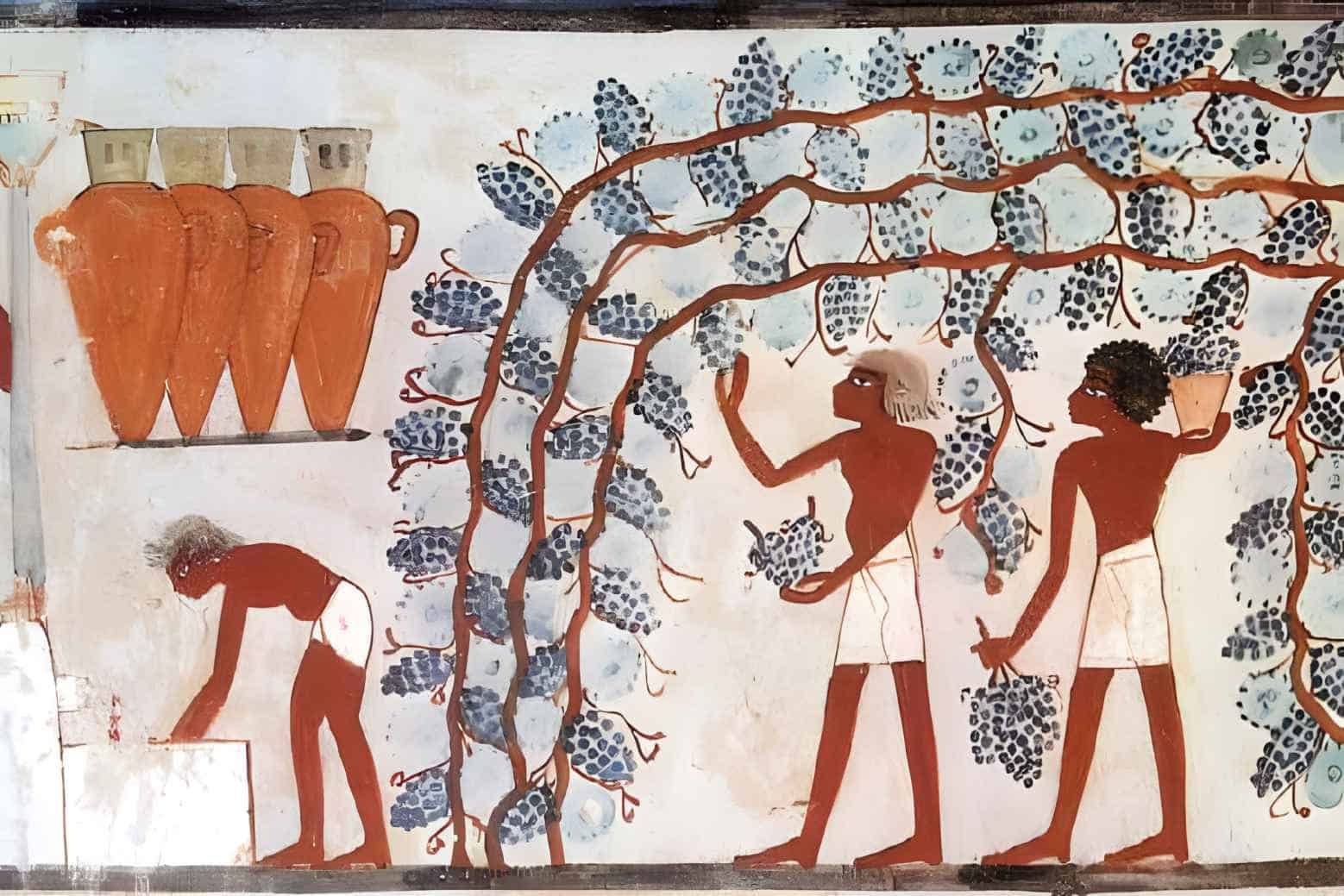 Egyptian vineyard painting