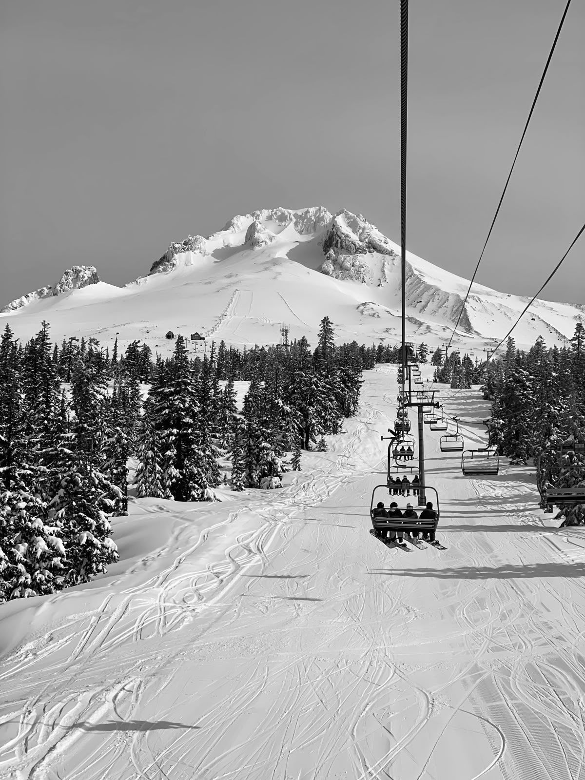 Zwart-witfoto vanuit een skilift met uitzicht op een besneeuwde bergtop boven een bos.