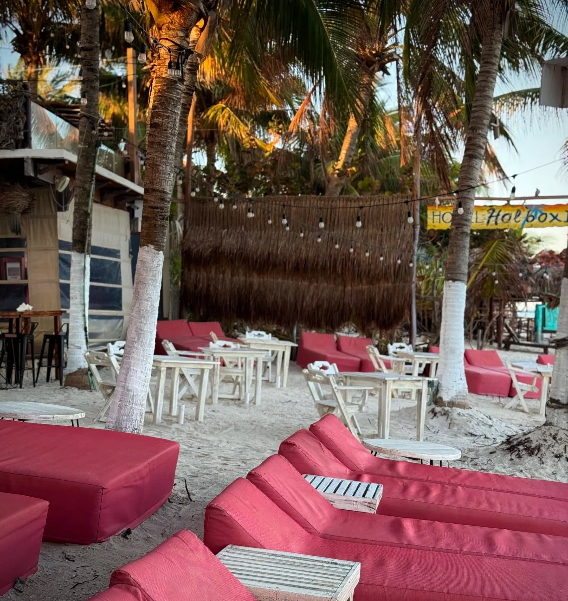 Restaurante junto a la playa con asientos rojos y mesas blancas bajo palmeras.
