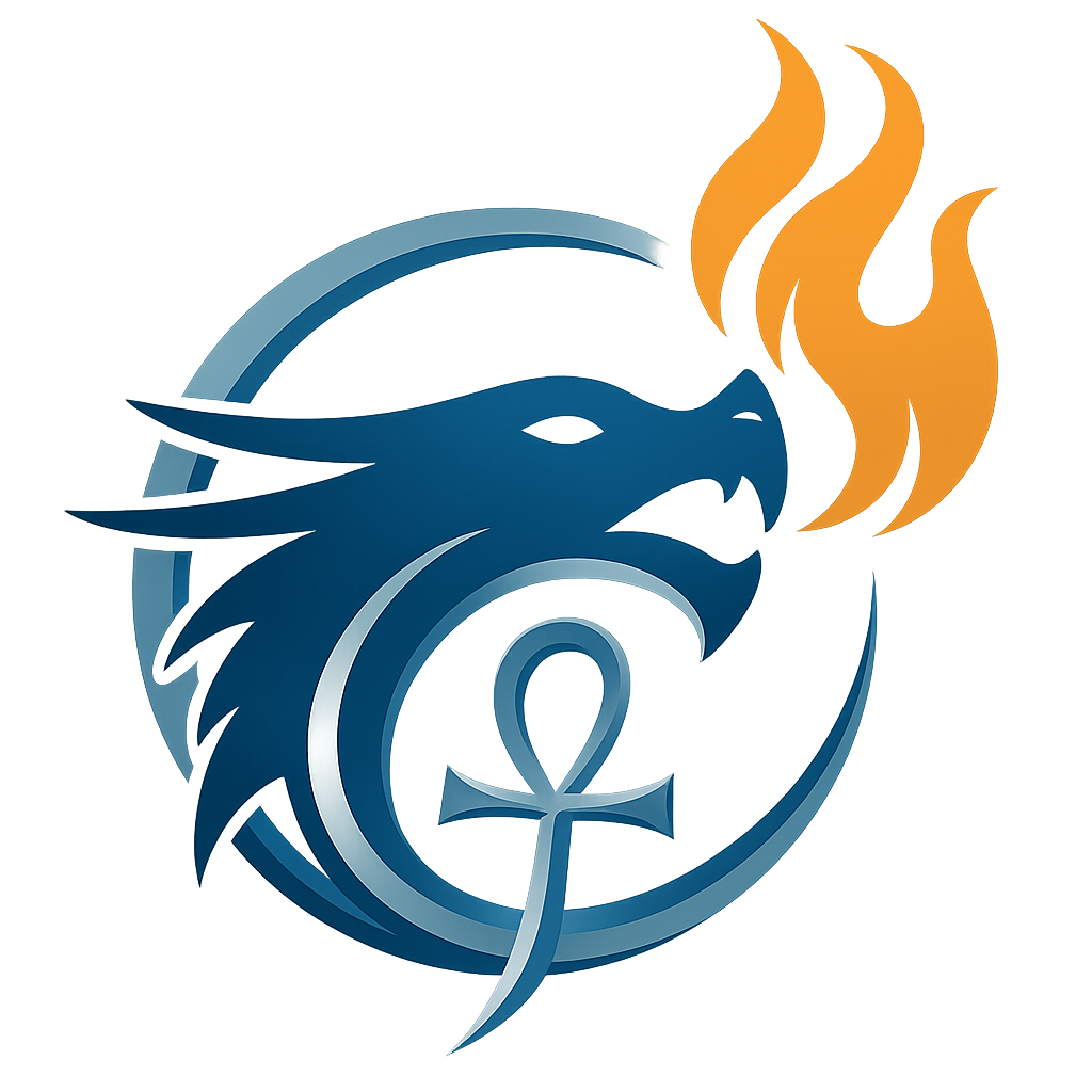 Dragon Digital Agency Logo