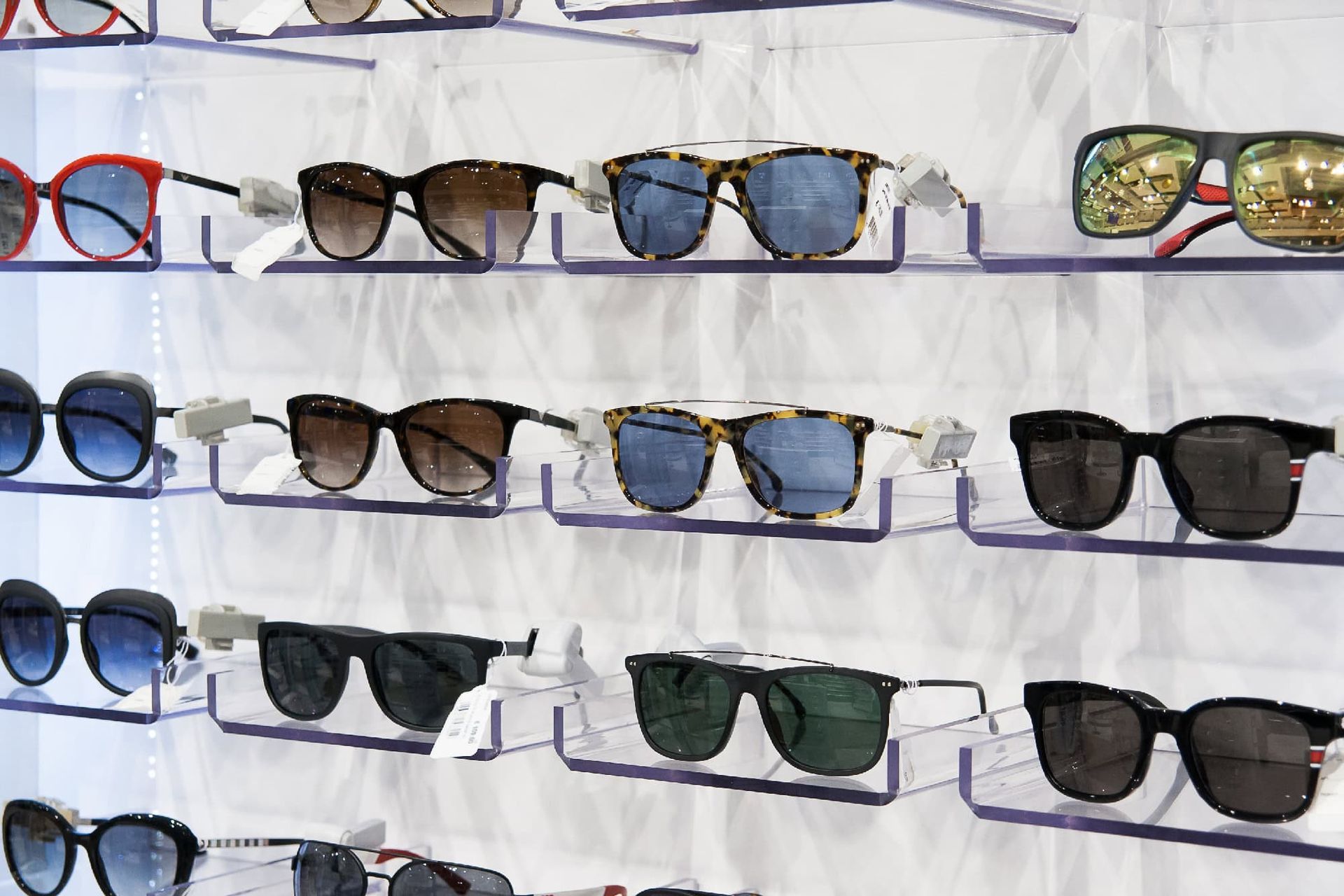 A variety of sunglasses are displayed on shelves in a store.