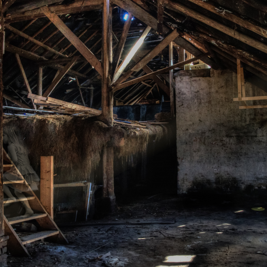 Identifying Attic Mold 