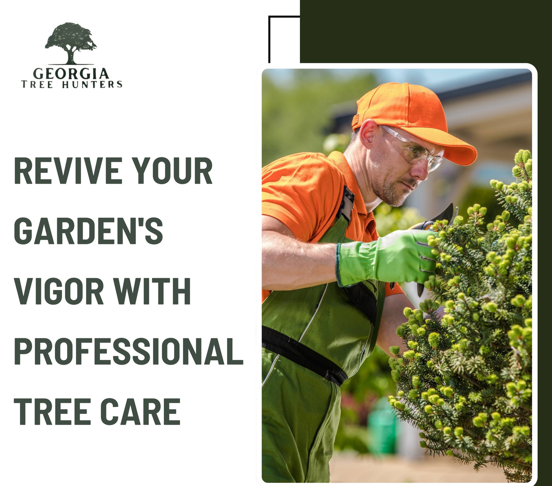 Man in safety gear pruning a shrub, Georgia Tree Hunters ad.