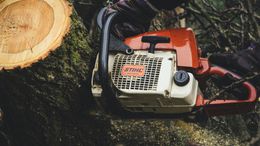A person with a red and white chainsaw cutting a tree trunk.