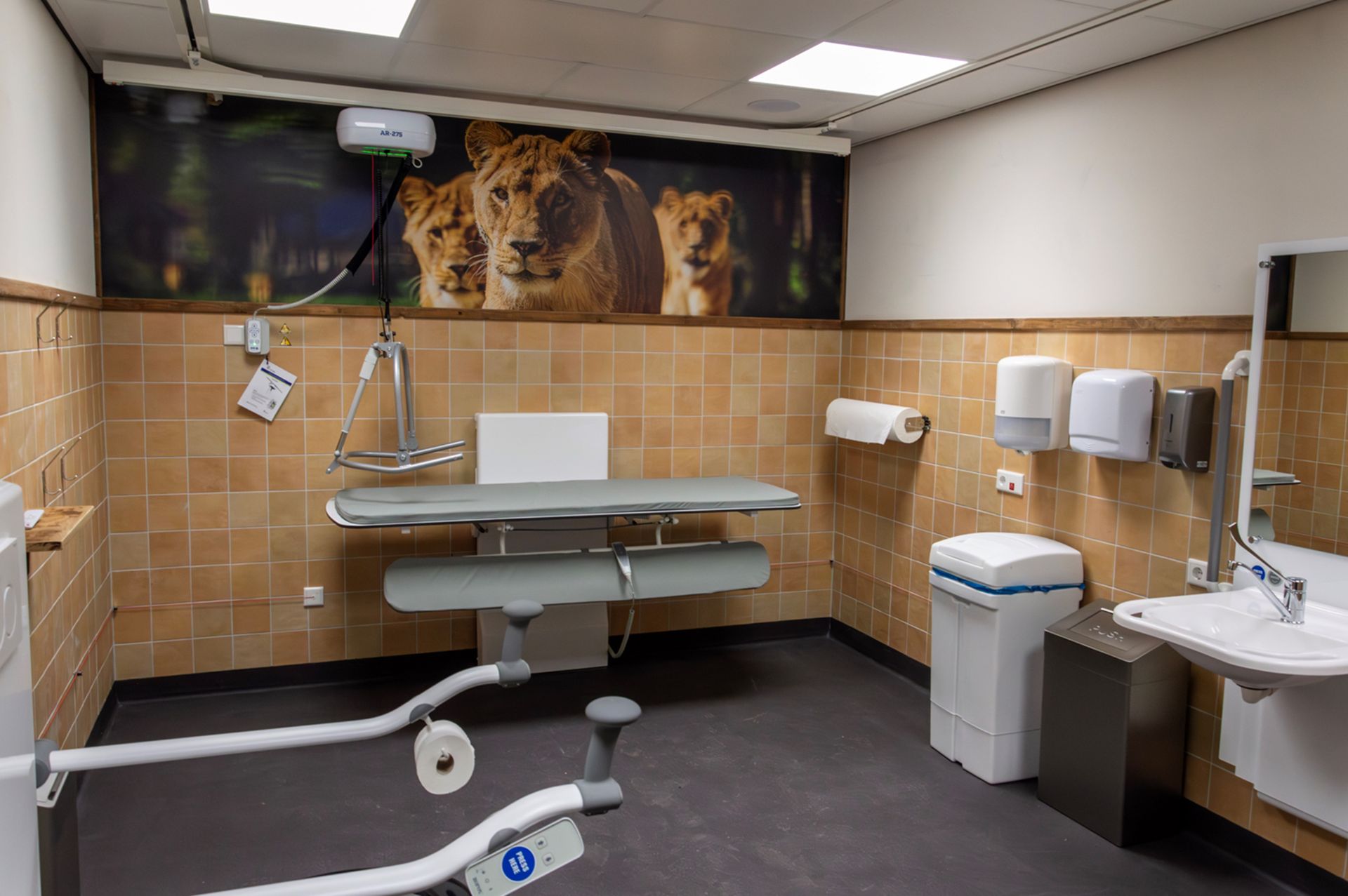 Changing Places at Beekse Bergen Safari Park