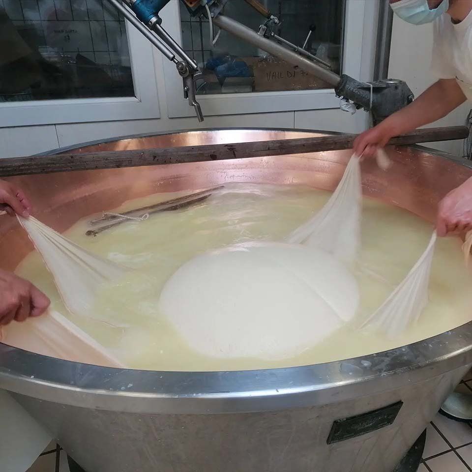 Lavorazione del latte per la preparazione di formaggi freschi e stagionati