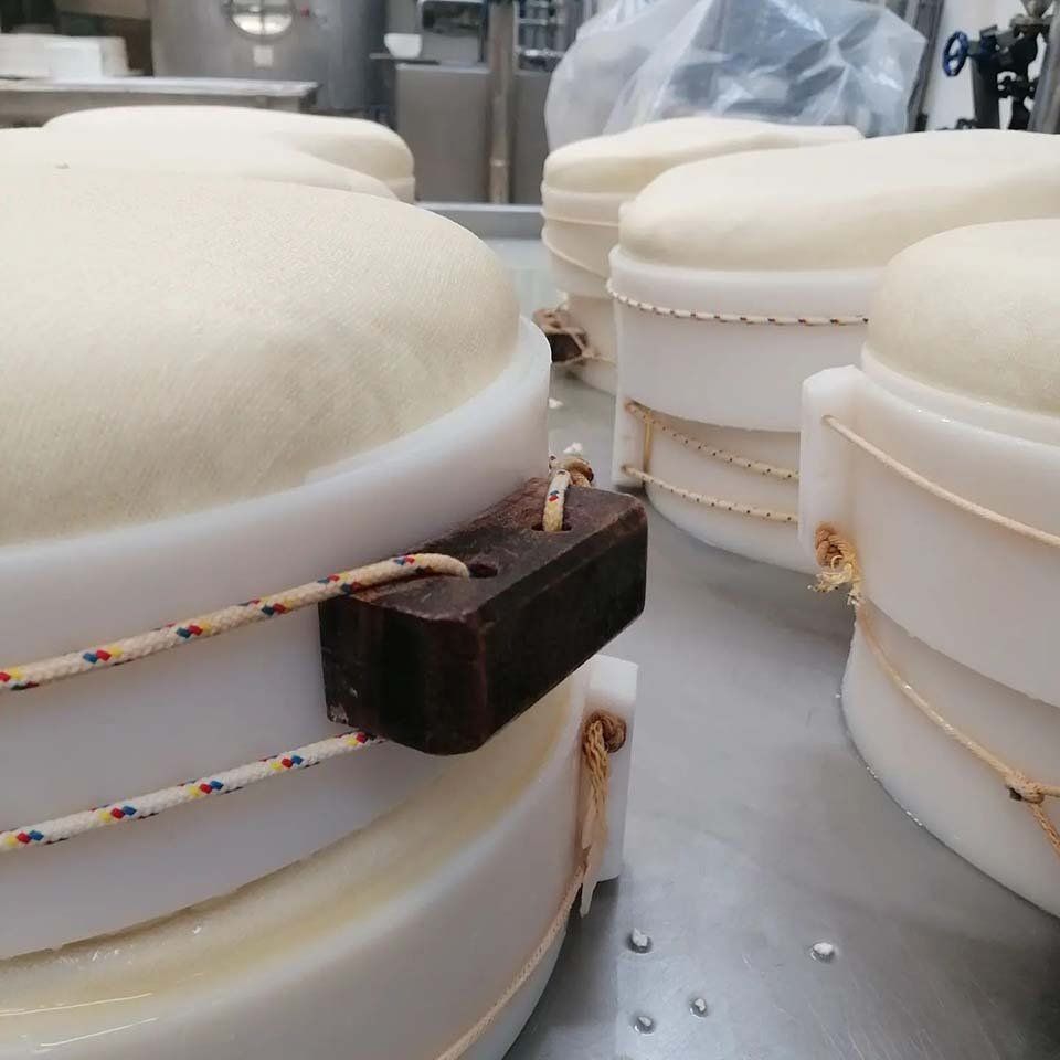 Formaggi pronti per essere stagionati