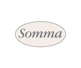 LOGO - SOMMA