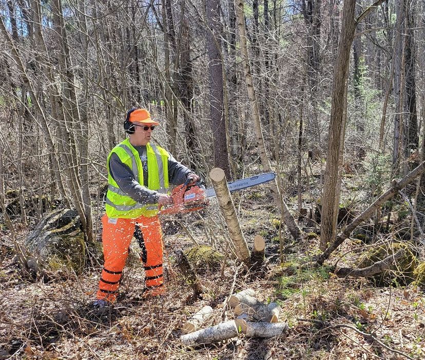 A man is cutting a tree with a chainsaw