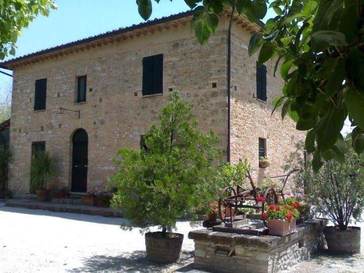 Una casa in pietra con piante in vaso di fronte