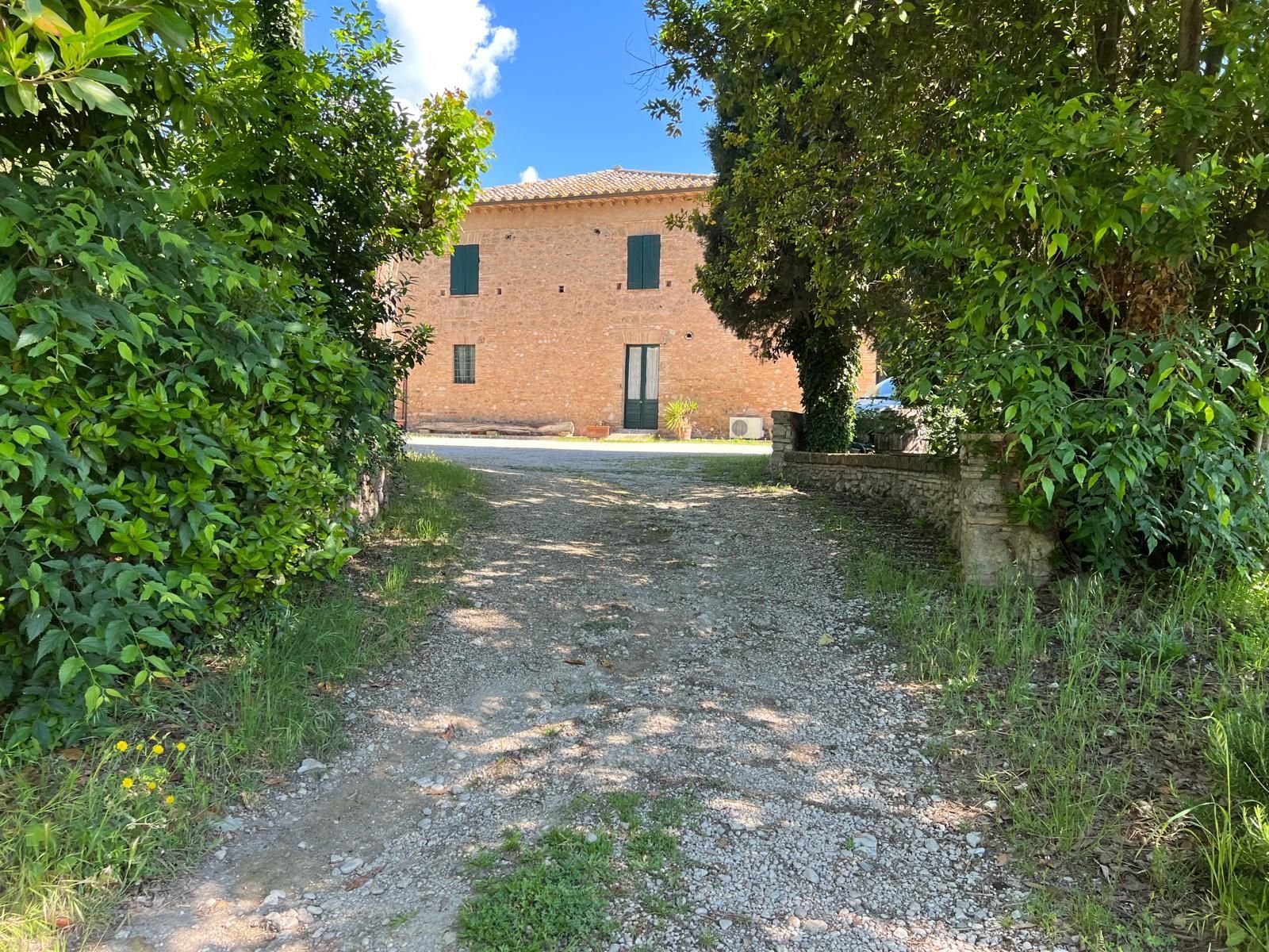 Una strada sterrata che conduce a un grande edificio in mattoni circondato da alberi.