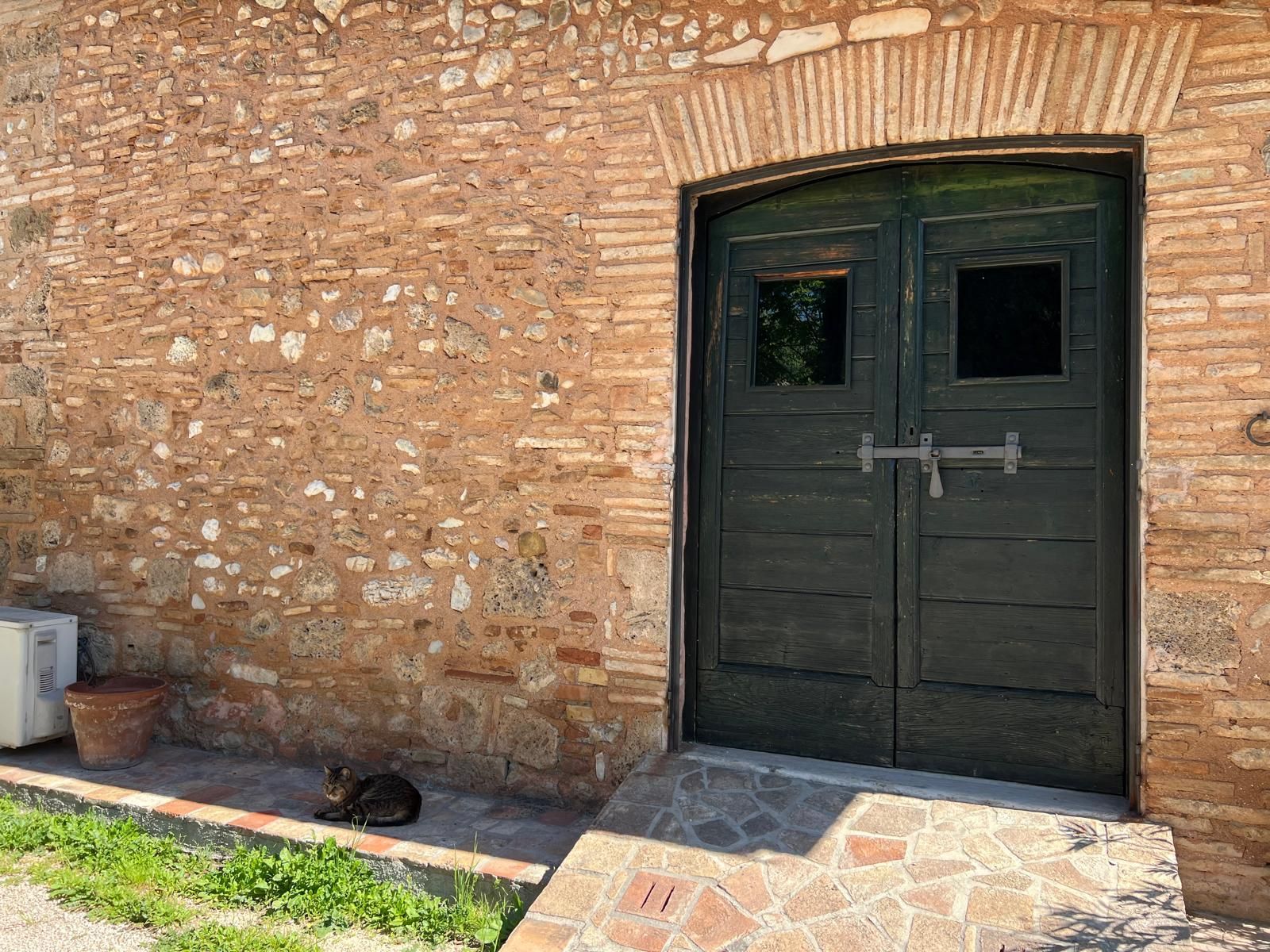 Un gatto è seduto davanti a un edificio di mattoni accanto a una porta.