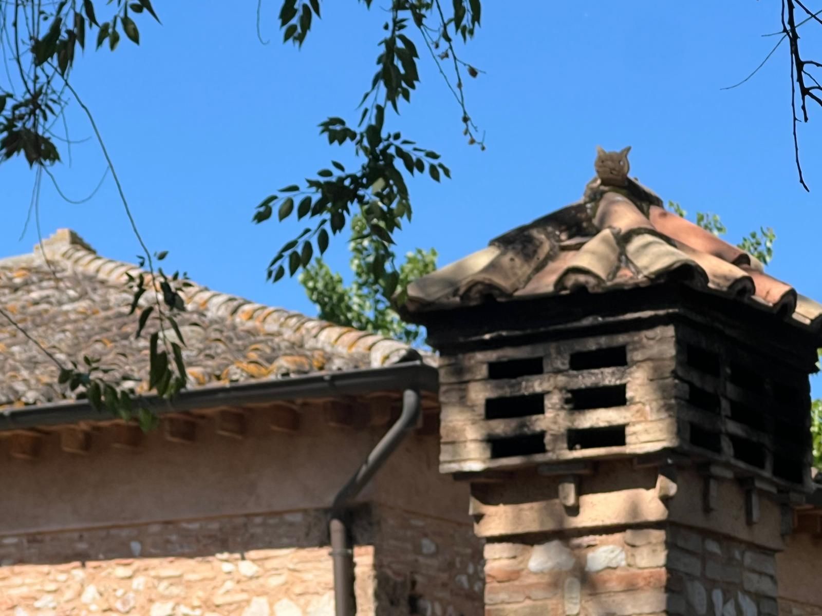 Un camino in cima a un edificio con un cielo azzurro sullo sfondo