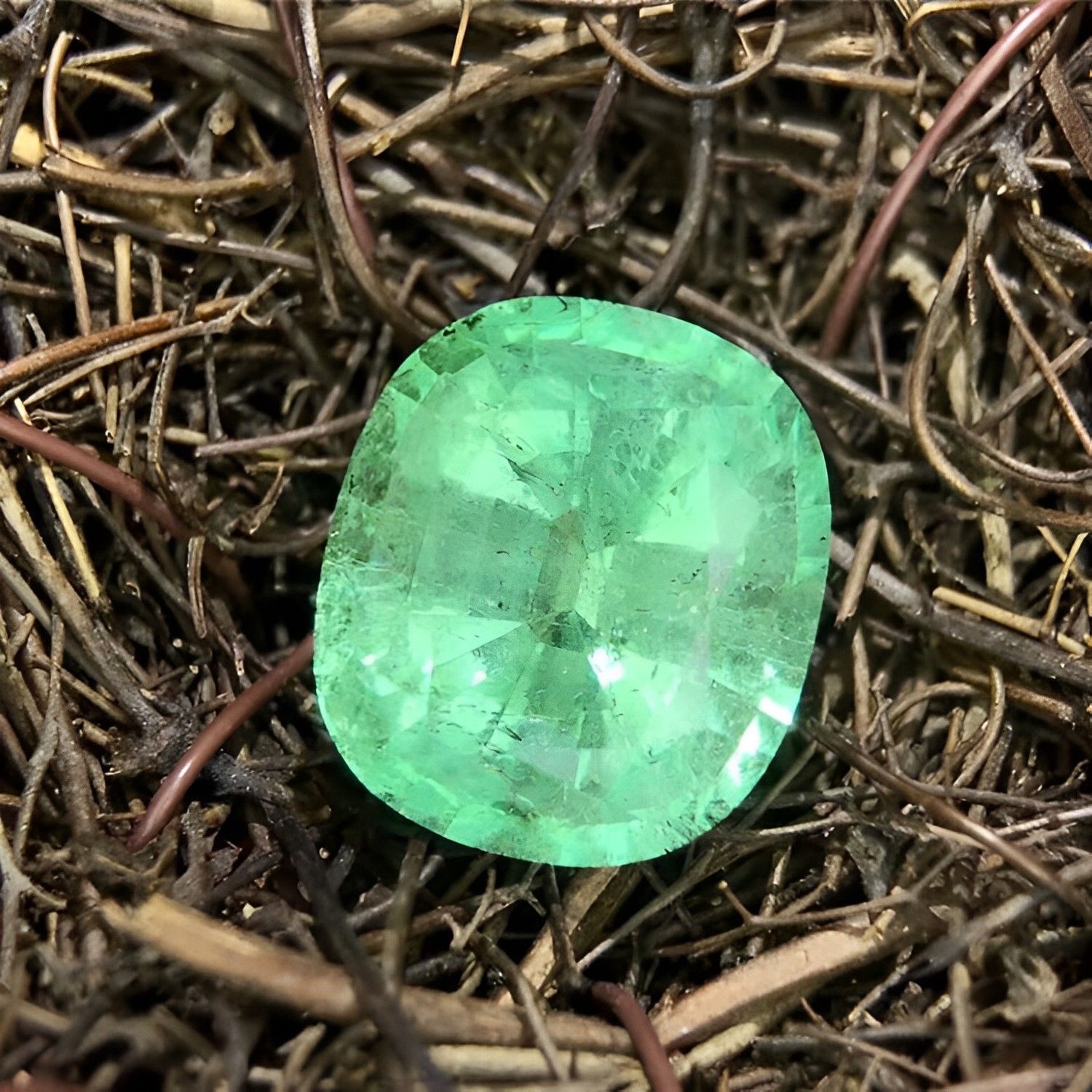 Émeraudes étincelantes