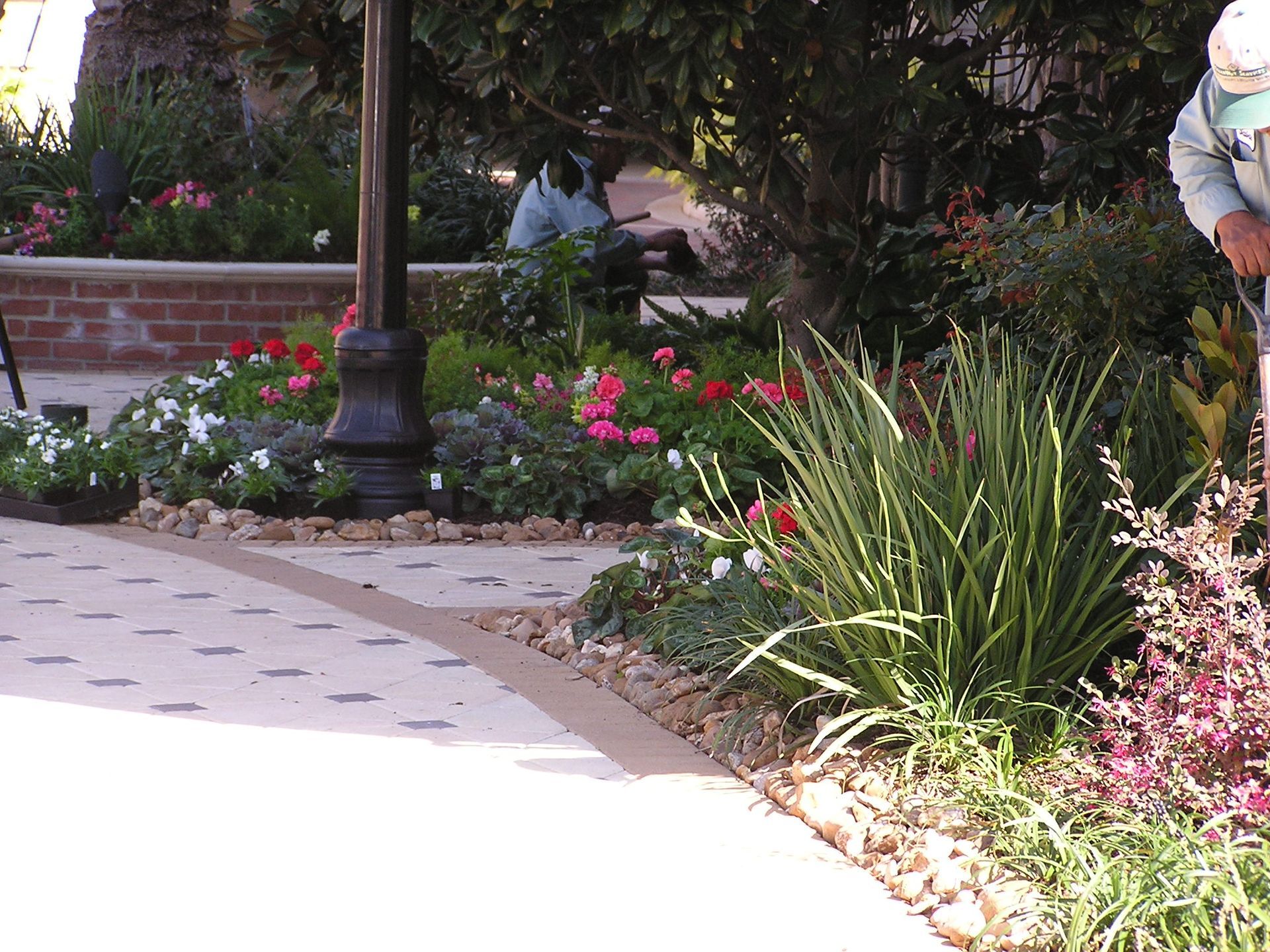 A man is standing in the middle of a garden