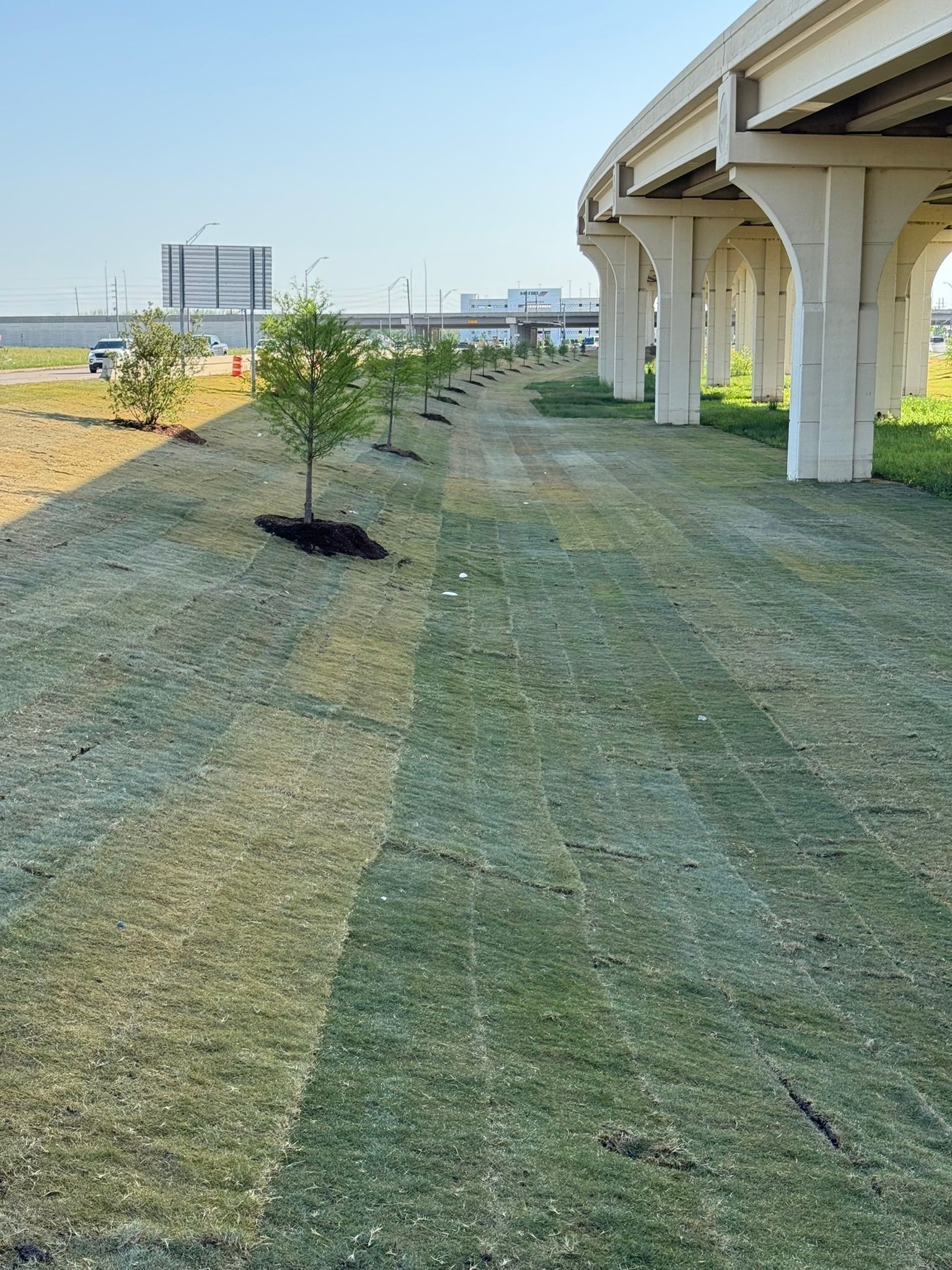 A grassy area under a highway with a tree in the middle.