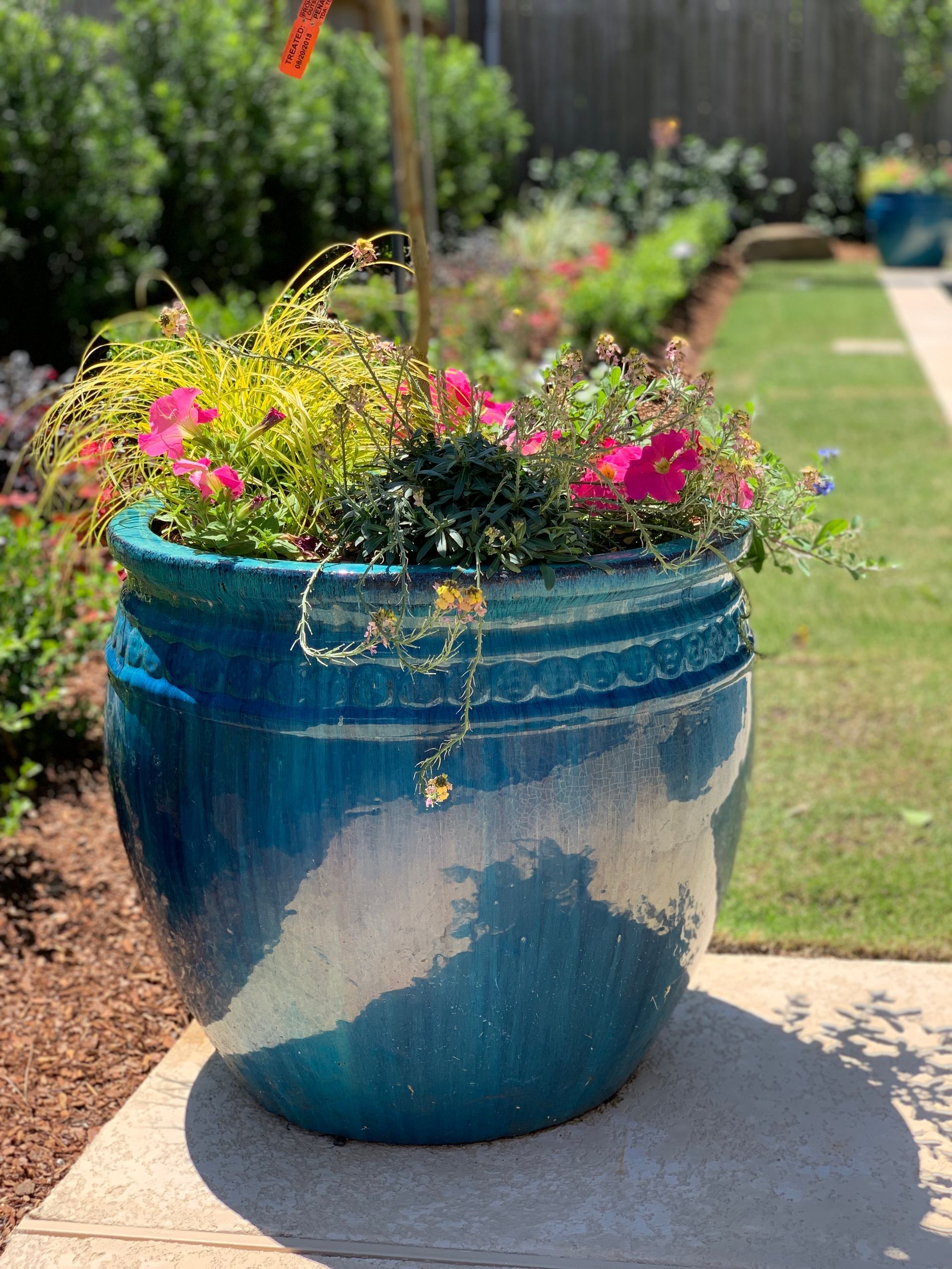 A large blue pot filled with flowers is sitting on a sidewalk.