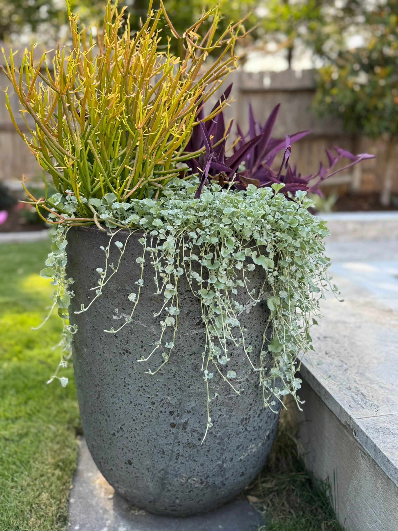 A large pot filled with lots of plants is sitting on a sidewalk.