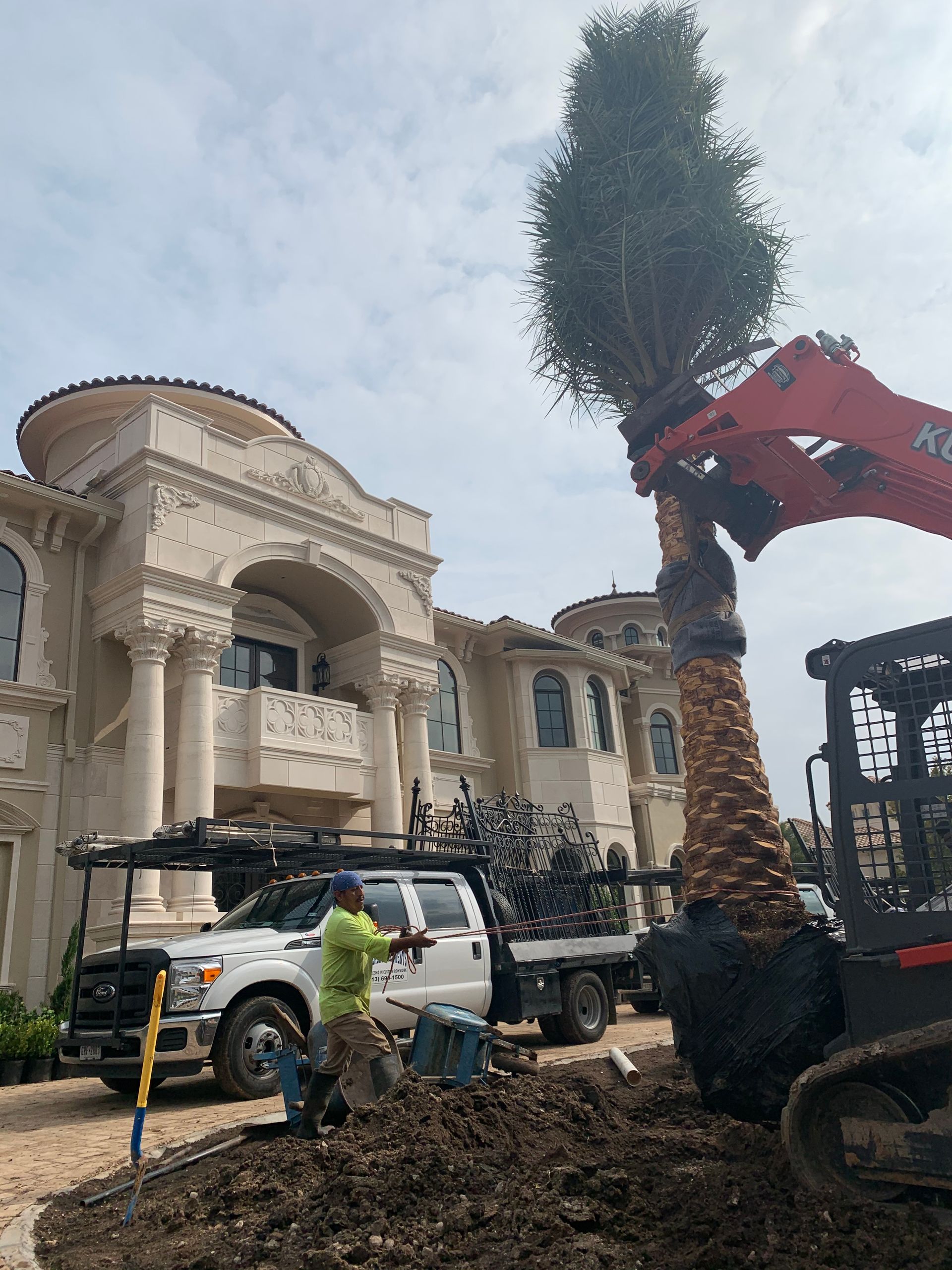 A man is planting a palm tree in front of a large house.