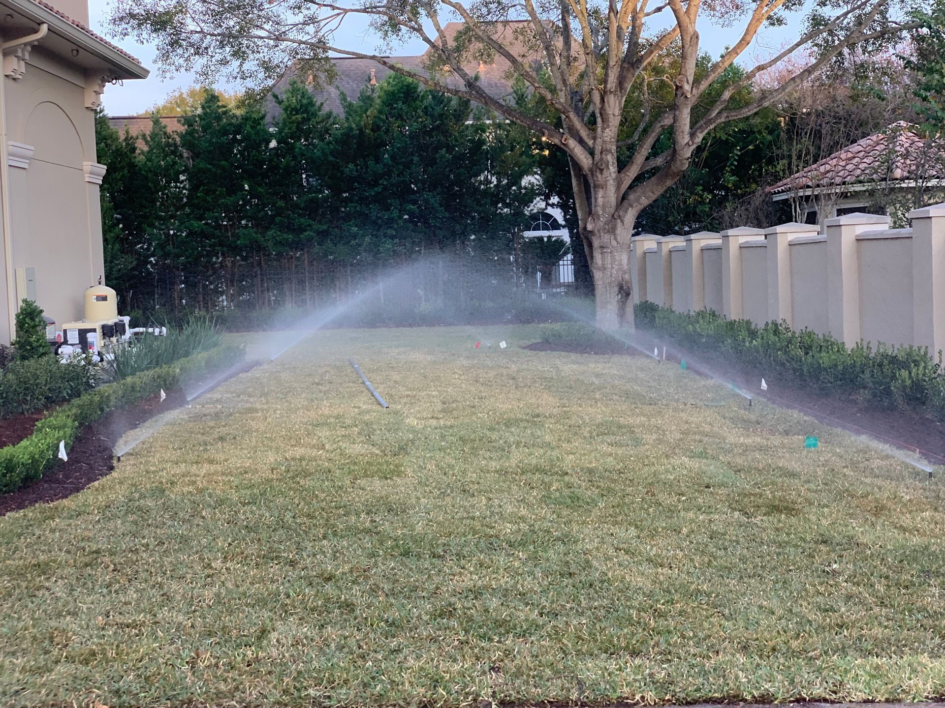 A sprinkler is spraying water on a lush green lawn.