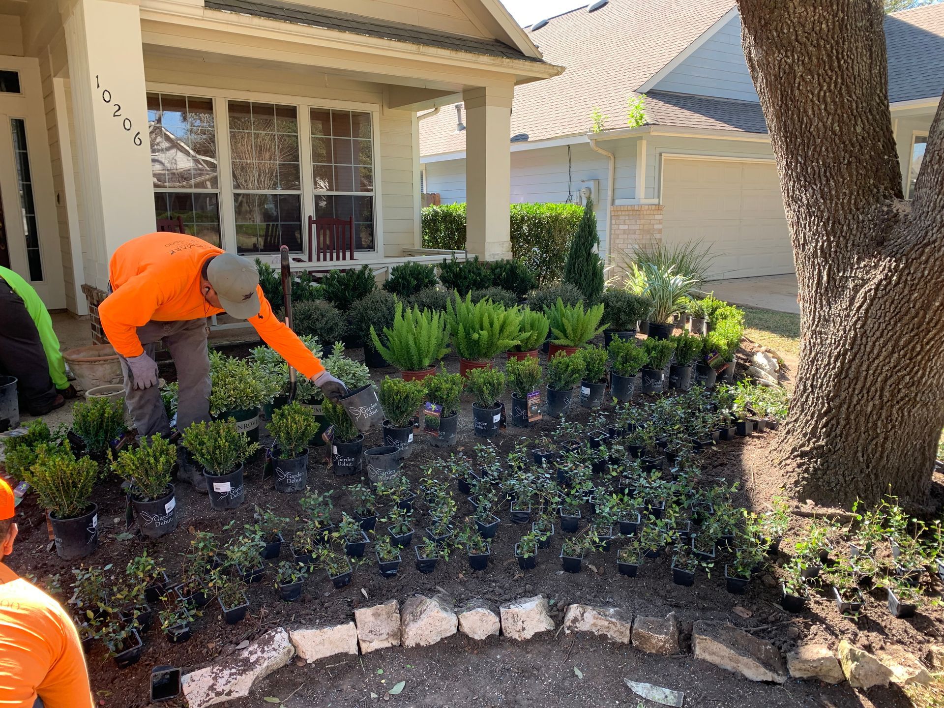 A man is planting plants in a garden in front of a house.