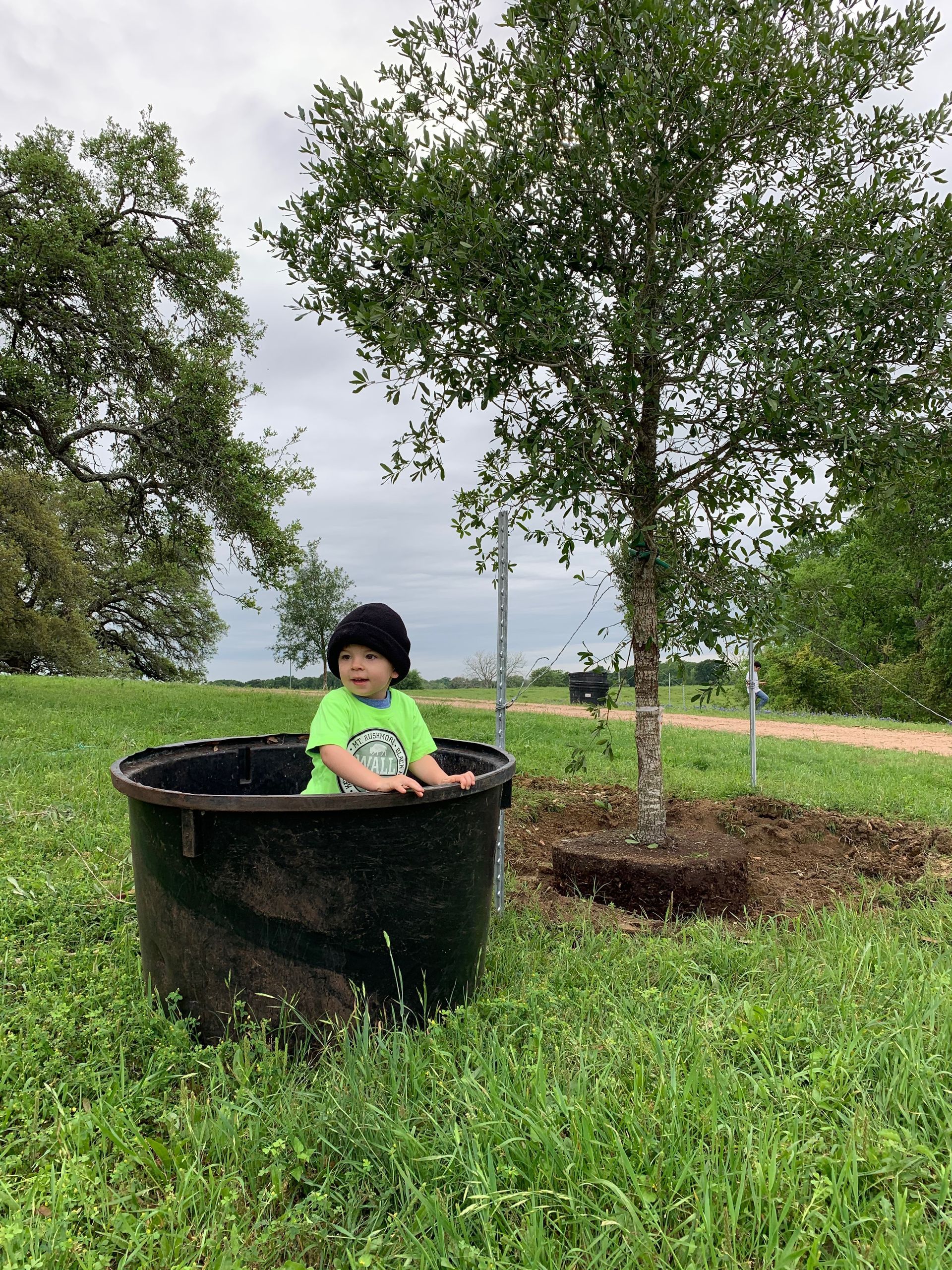 A little boy is sitting in a black bucket in a field next to a tree.