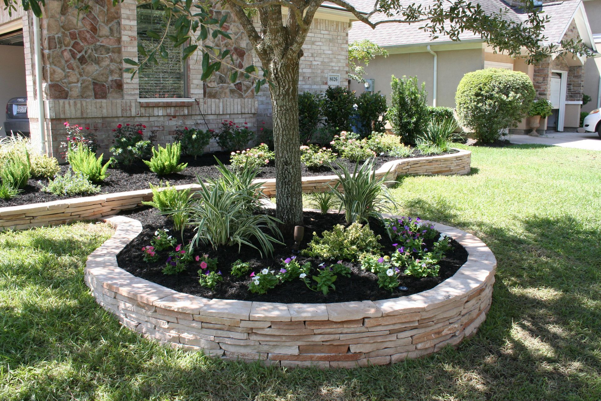 A tree in the middle of a garden in front of a house