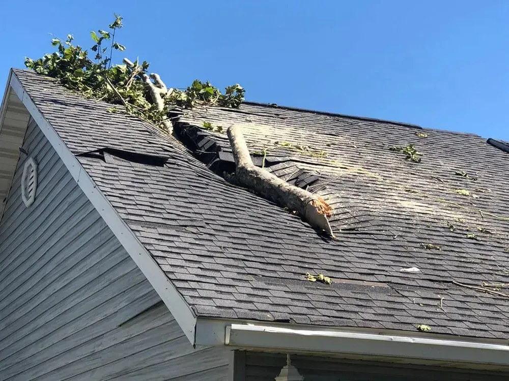 A tree branch is laying on the roof of a house.