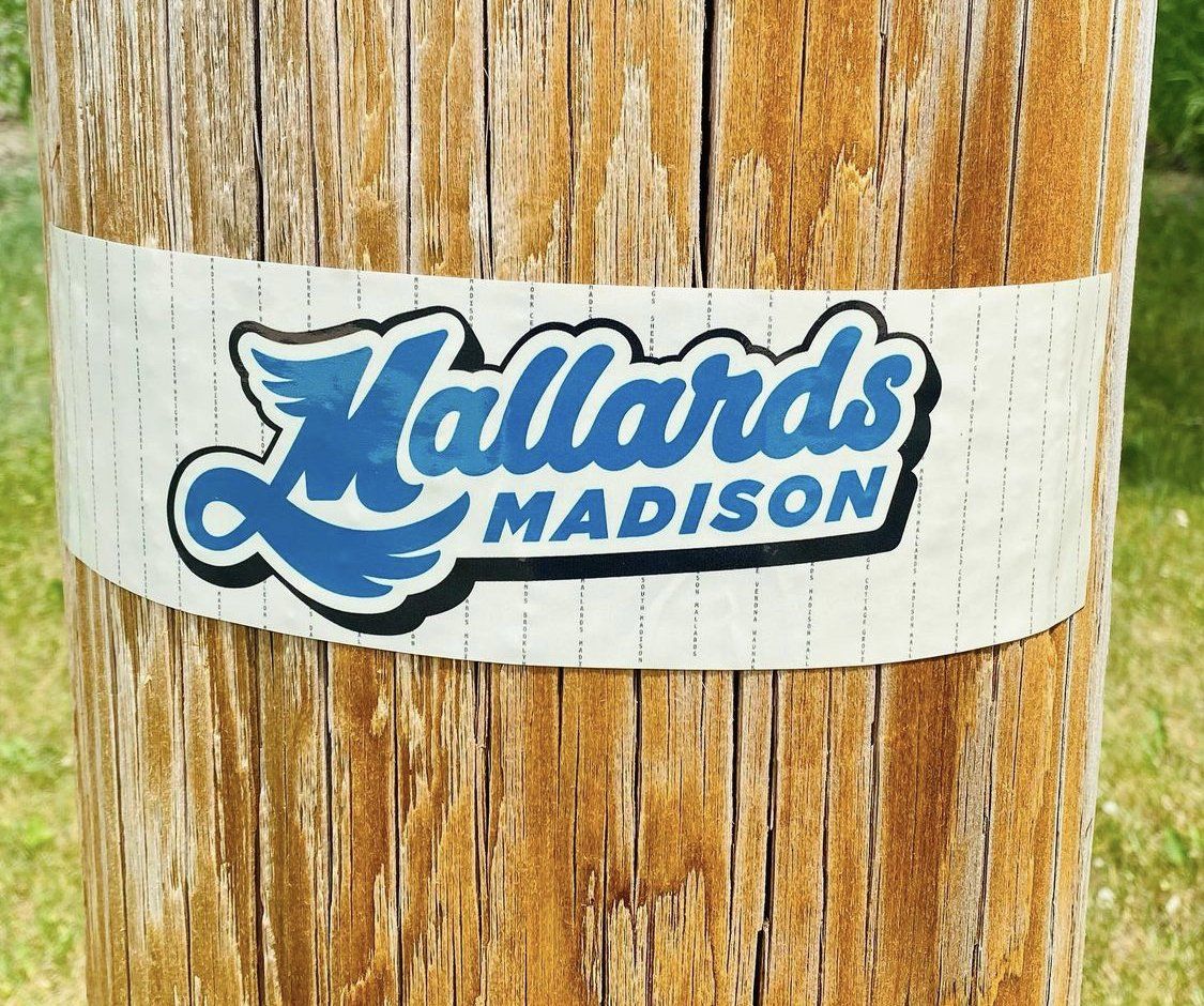 Mallards Custom Sticker
