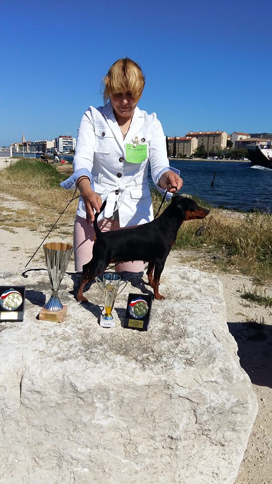 Donna con un Pinscher nano nero e marrone su una piattaforma di pietra, trofei nelle vicinanze, sfondo di mare.